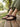 Effortless Flat Everyday Casual Chappal (1281)