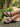 Women's Strappy Flat Sandals