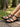 Women's Elegant Strappy Sandals