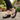 Lazera Women’s Embellished Wedge Thong Sandals (1611)