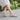 Women’s Casual Buckle Strap Flat Sandals (1623)