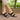 Double Strap Flats (1670)