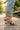 Lazera Flat Sandals Strappy Slip On Comfortable Square Toe White For Women (1683)